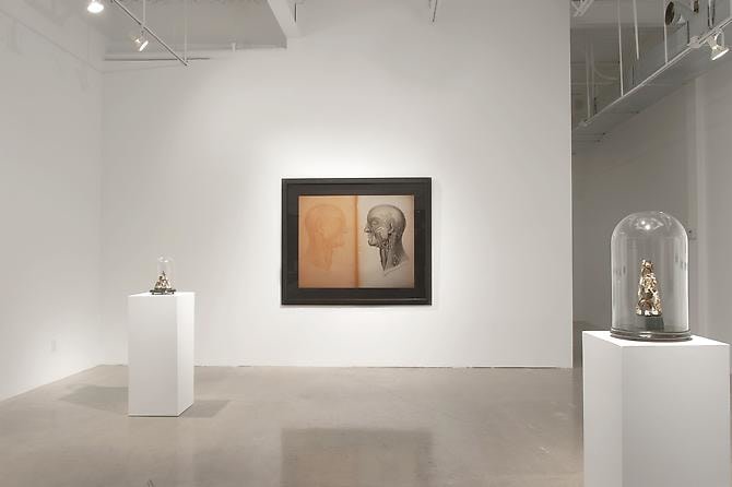 CINDY STELMACKOWICH | IN MOURNING OF | VUE D'EXPOSITION | GALERIE PATRICK MIKHAIL | OTTAWA | 2010