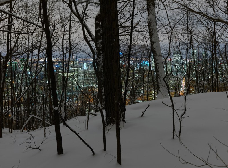 THOMAS KNEUB&Uuml;HLER |&nbsp;DOWNTOWN |&nbsp;C-PRINT |&nbsp;44 X 60 INCHES&nbsp;| EDITION OF 5&nbsp;|&nbsp;2017 &nbsp;