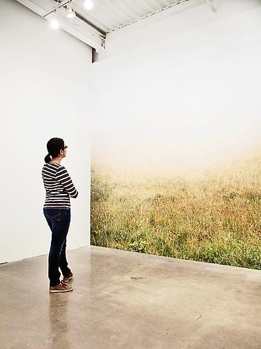 JESSICA AUER | MEADOW | INSTALLATION VIEW |&nbsp;PATRICK MIKHAIL GALLERY | OTTAWA | 2012