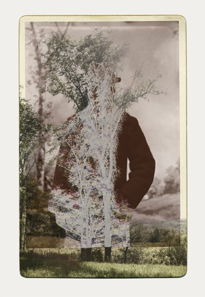 SARA ANGELUCCI | ARBORETUM (MAN/ELM) | PIGMENT PRINT ON ARCHIVAL PAPER | 24 X 34 INCHES | 2016 