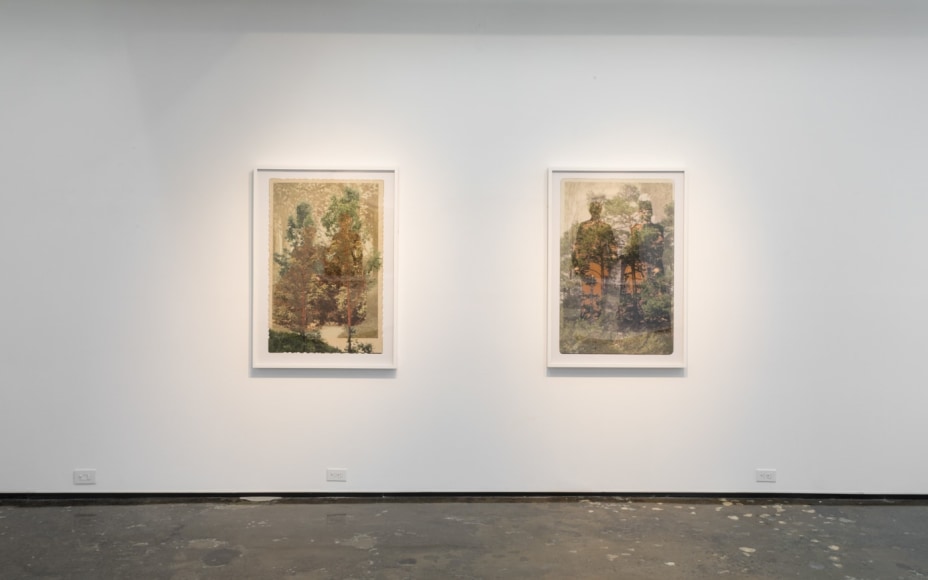 SARA ANGELUCCI | ARBORETUM | INSTALLATION VIEW | PATRICK MIKHAIL GALLERY | MONTRÉAL