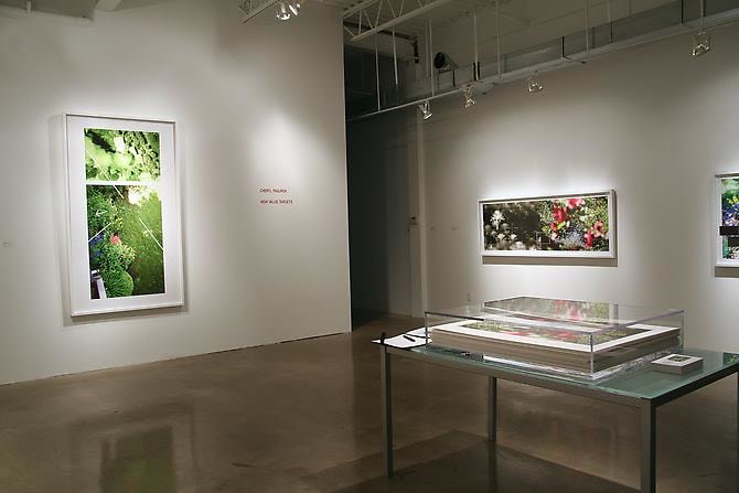 CHERYL PAGUREK | HIGH VALUE TARGETS | INSTALLATION VIEW | PATRICK MIKHAIL GALLERY | OTTAWA | 2010