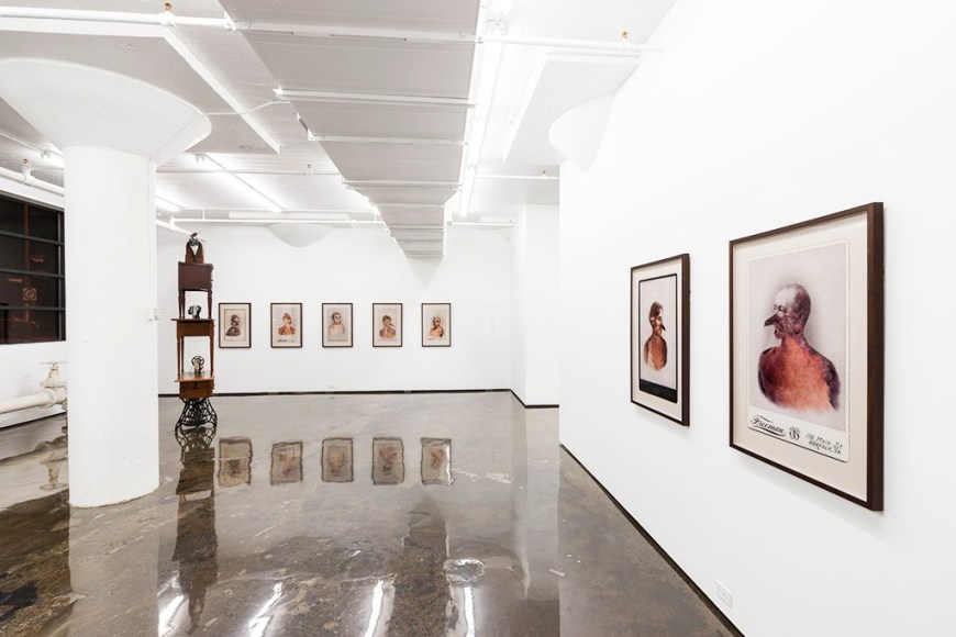 SARA ANGELUCCI | TAKING FLIGHT | INSTALLATION VIEW | PATRICK MIKHAIL GALLERY MONTRÉAL | 2015