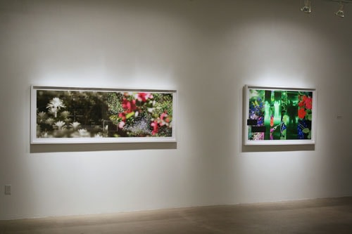 CHERYL PAGUREK | HIGH VALUE TARGETS | INSTALLATION VIEW | PATRICK MIKHAIL GALLERY | OTTAWA | 2010