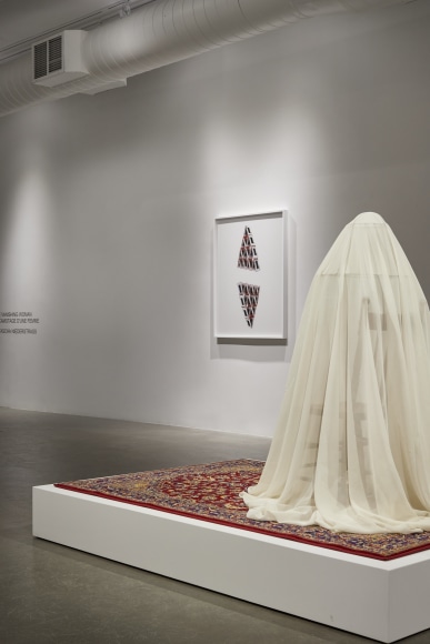 NATASCHA NIEDERSTRASS | ESCAMOTAGE D'UNE FEMME | THE VANISHING WOMAN | PATRICK MIKHAIL, IMAGES :  MAXIME BROUILLET