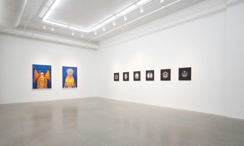 LA THÉORIE DES RÉSEAUX | THE THEORY OF NETWORKS | PATRICK MIKHAIL | VUE D'INSTALLATION