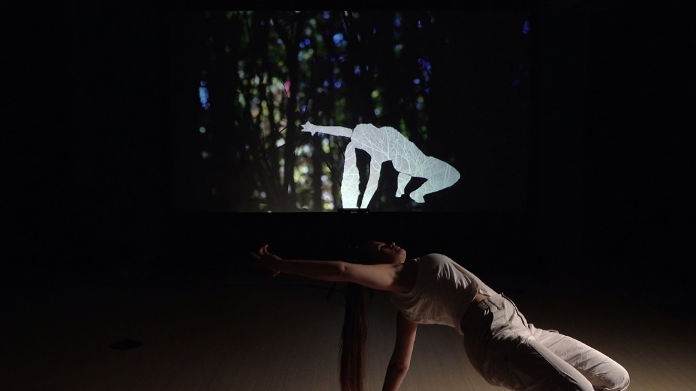 CHERYL PAGUREK | INTERACT | PERFORMANCE INTERACTIVE AVEC VIDÉO ET DANSE
