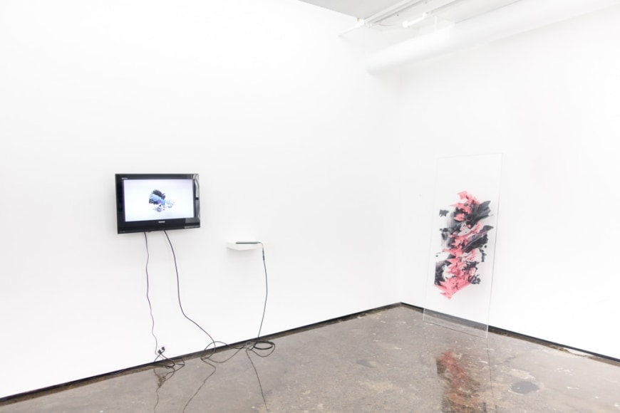 OLIVER PAUK | ABERRATION | VUE D'EXPOSITION | GALERIE PATRCIK MIKHAIL | MONTRÉAL | 2016