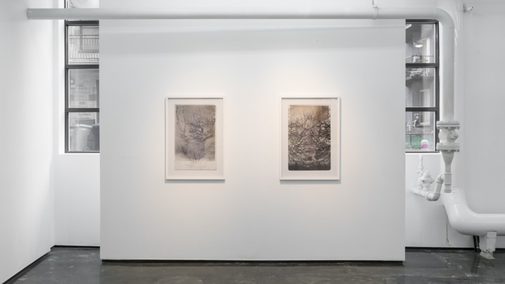 SARA ANGELUCCI | ARBORETUM | INSTALLATION VIEW | PATRICK MIKHAIL GALLERY | MONTRÉAL