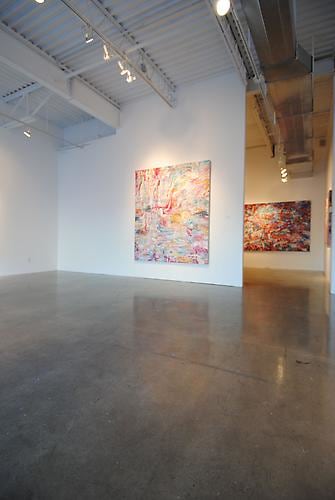 AMY SCHISSEL | SYSTEMS FEVER | VUE D'EXPOSITION | GALERIE PATRICK MIKHAIL | OTTAWA | 2012