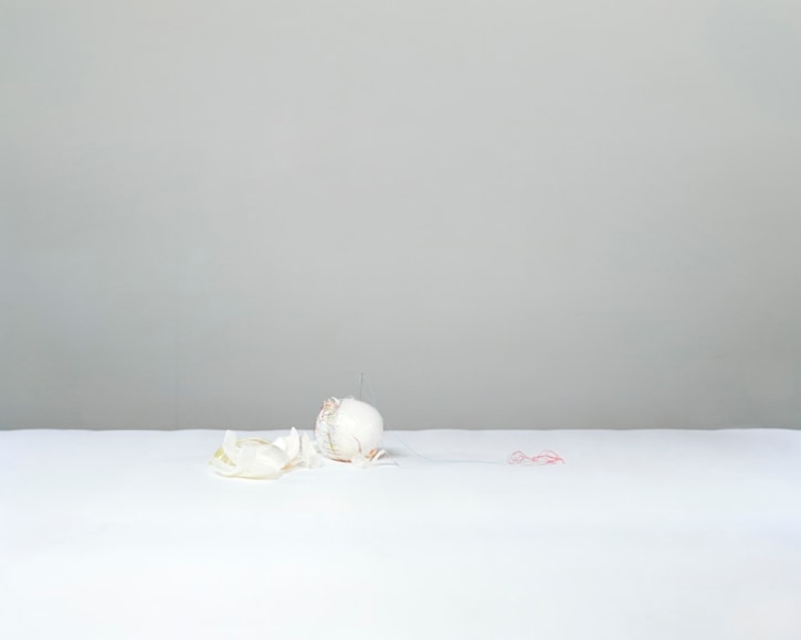 JINYOUNG KIM | ONION | INKJET PRINT | 38 X 48 INCHES | 2014