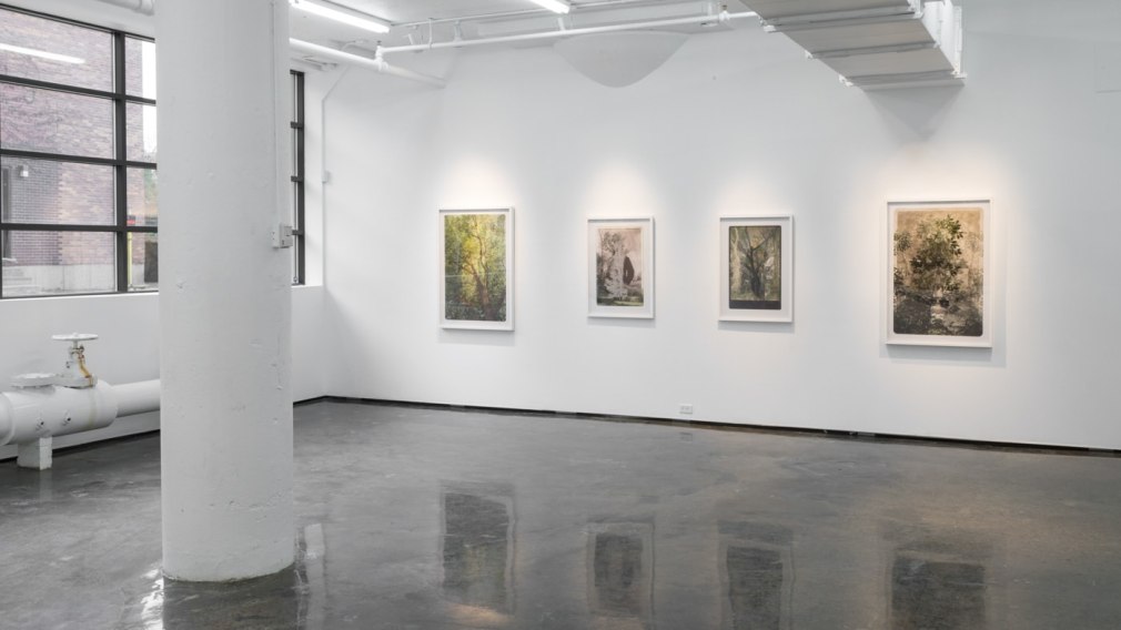 SARA ANGELUCCI | ARBORETUM | INSTALLATION VIEW | PATRICK MIKHAIL GALLERY | MONTRÉAL