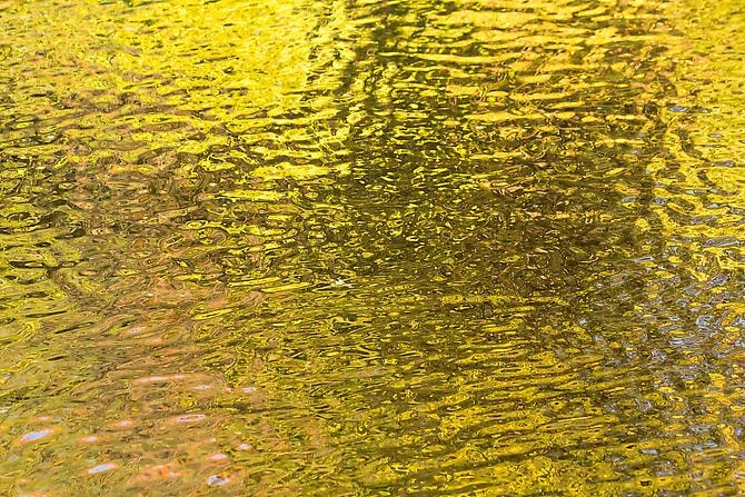 CHERYL PAGUREK | STATE OF FLUX 14 | IMPRESSION NUMÉRIQUE SUR PAPIER PHOTO | 25 x 37.5 POUCES | 2012