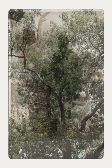 SARA ANGELUCCI | ARBORETUM (MAN/HAT/OAK) | PIGMENT PRINT ON ARCHIVAL PAPER | 24 X 34 INCHES | 2016 