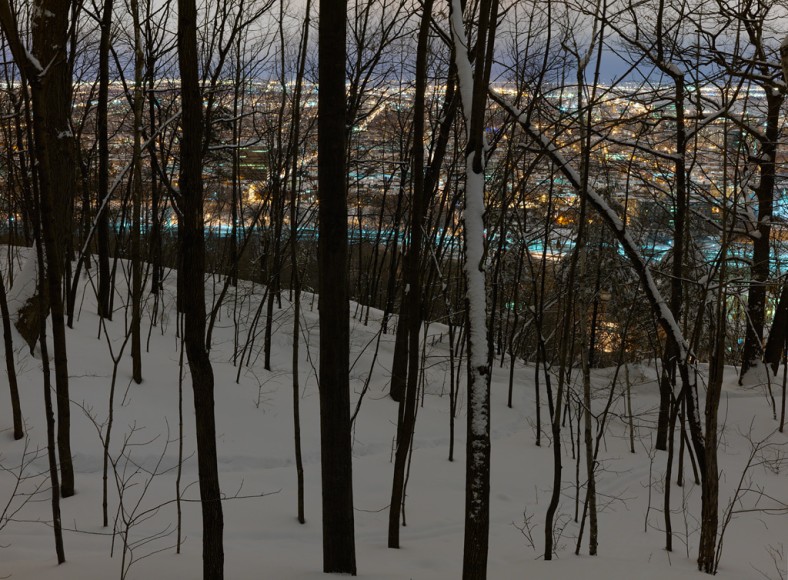 THOMAS KNEUB&Uuml;HLER |&nbsp;EAST SIDE |&nbsp;C-PRINT |&nbsp;44 X 60 INCHES&nbsp;| EDITION OF 5&nbsp;|&nbsp;2017 &nbsp;