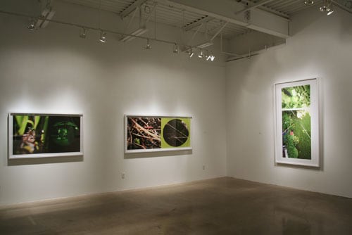 CHERYL PAGUREK | HIGH VALUE TARGETS | INSTALLATION VIEW | PATRICK MIKHAIL GALLERY | OTTAWA | 2010