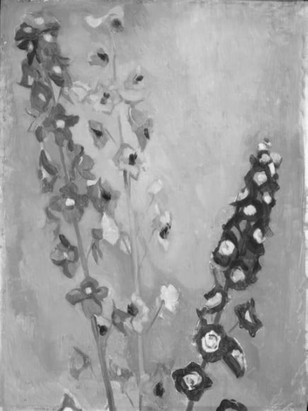  , KATHERINE NASH RHOADES