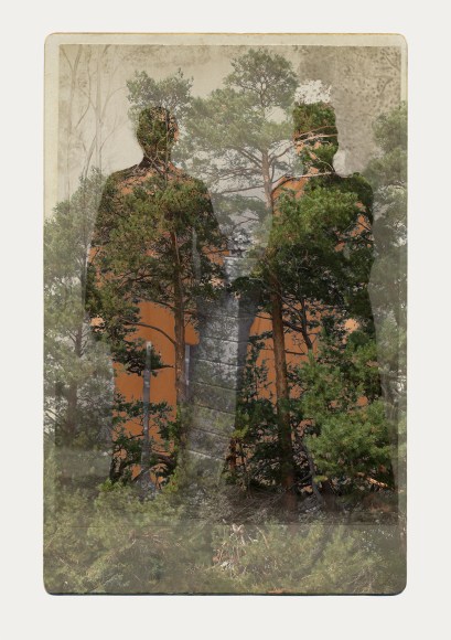 SARA ANGELUCCI | ARBORETUM (MAN/WOMAN/PINES) | PIGMENT PRINT ON ARCHIVAL PAPER | 31 X 44 INCHES | 2016 