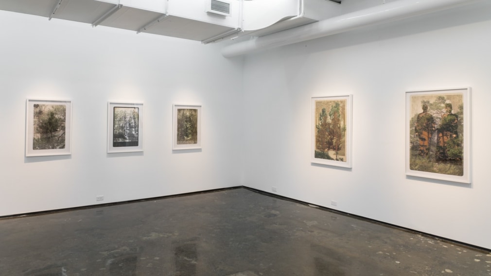 SARA ANGELUCCI | ARBORETUM | INSTALLATION VIEW | PATRICK MIKHAIL GALLERY | MONTRÉAL