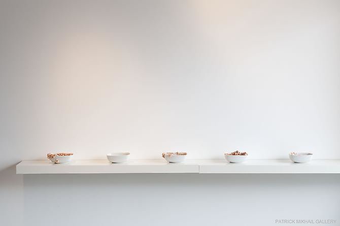 DEBORAH MARGO | 40019's CEASELESS TRANSFORMATIONS | INSTALLATION VIEW | PATRICK MIKHAIL GALLERY | OTTAWA | 2009