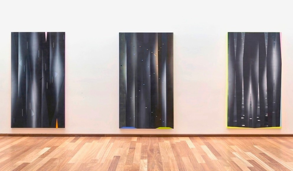 JANET JONES | VUE D'EXPOSITION | DADA DELIRIUM EXHIBITION | TOM THOMPSON ART GALLERY | 2009