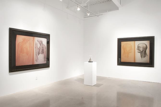 CINDY STELMACKOWICH | IN MOURNING OF | VUE D'EXPOSITION | GALERIE PATRICK MIKHAIL | OTTAWA | 2010