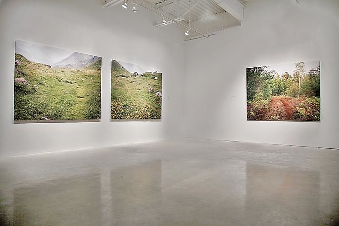 JESSICA AUER | MEADOW | INSTALLATION VIEW |&nbsp;PATRICK MIKHAIL GALLERY | OTTAWA | 2012