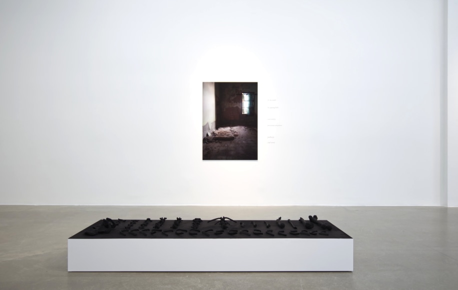 NATASCHA NIEDERSTRASS | RUINENLUST | VUE D'INSTALLATION | PATRICK MIKHAIL