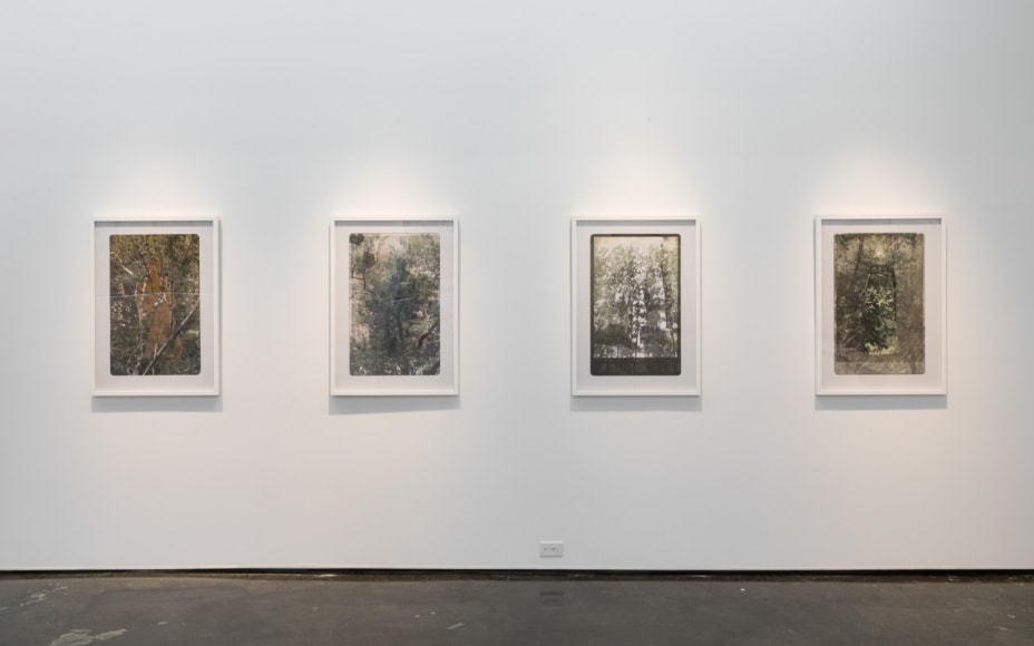 SARA ANGELUCCI | ARBORETUM | INSTALLATION VIEW | PATRICK MIKHAIL GALLERY | MONTRÉAL