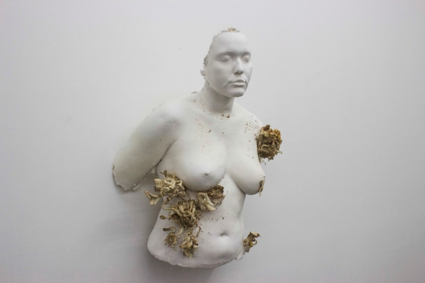 MICHAËLLE SERGILE | PUTRÉFACTION | PLASTER AND FUNGUS | 20 X 15 X 30 INCHES | 2017