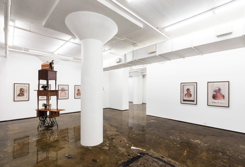 SARA ANGELUCCI | TAKING FLIGHT | INSTALLATION VIEW | PATRICK MIKHAIL GALLERY MONTRÉAL | 2015