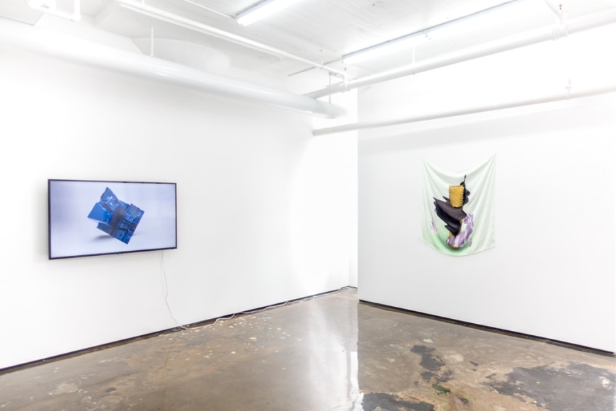 OLIVER PAUK | ABERRATION | VUE D'EXPOSITION | GALERIE PATRCIK MIKHAIL | MONTRÉAL | 2016