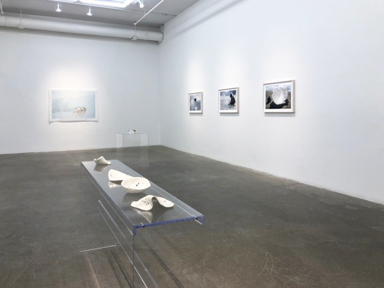 EVE K. TREMBLAY | AU LAC DES POSSIBLES | VUE D'EXPOSITION | GALERIE PATRICK MIKHAIL | MONTRÉAL | 2020