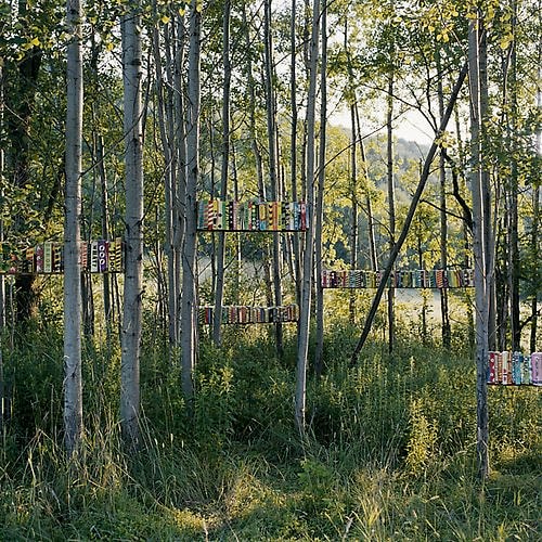 Language Barrier 6, Andes, New York, 2008