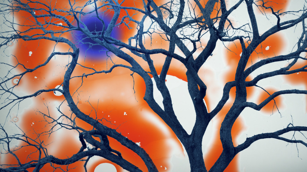 Ofri Cnaani, Seven Words 9, 2013