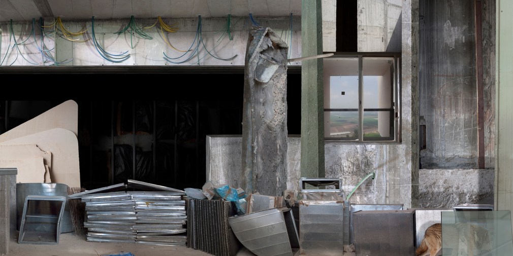 ILIT AZOULAY, Howling for Beuys, 2014