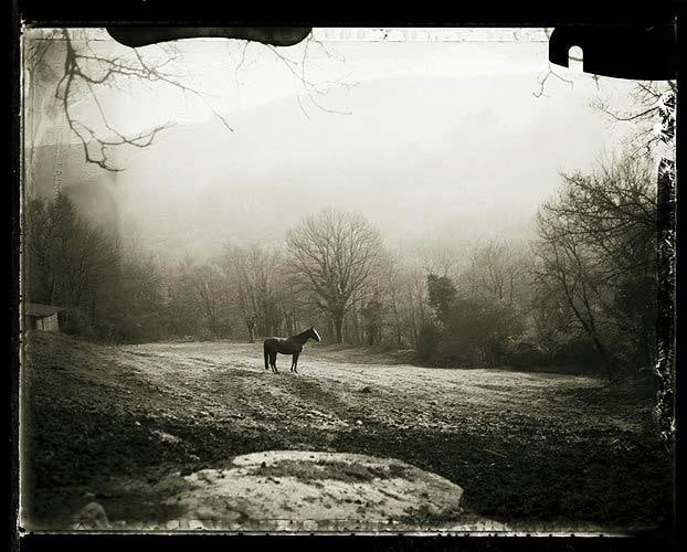 Cavallo all&#039;alba, valle del pavone, toscana (from the Eternita series), 1995-2004
