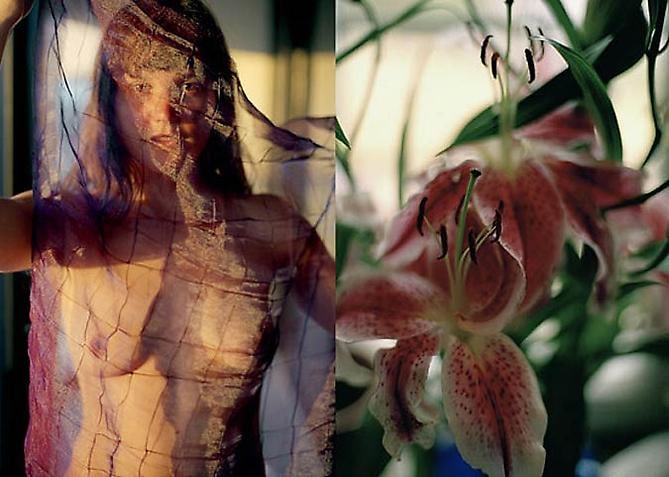 Fabric, 2004 Chromogenic color print