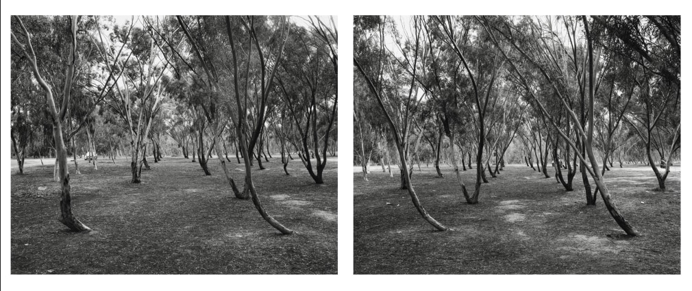Diptyich Re’im Parking Lot, 2024, Inkjet print, 108 x 135 cm each