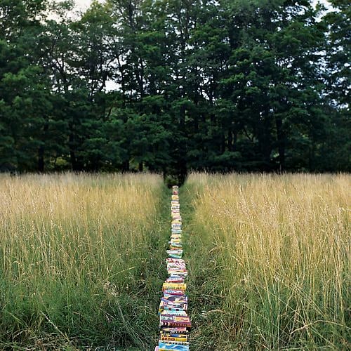 Language Barrier 4, Andes, New York, 2008