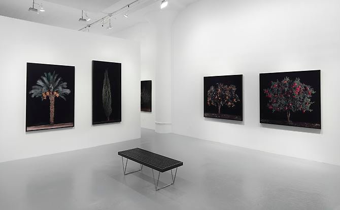 Installation view