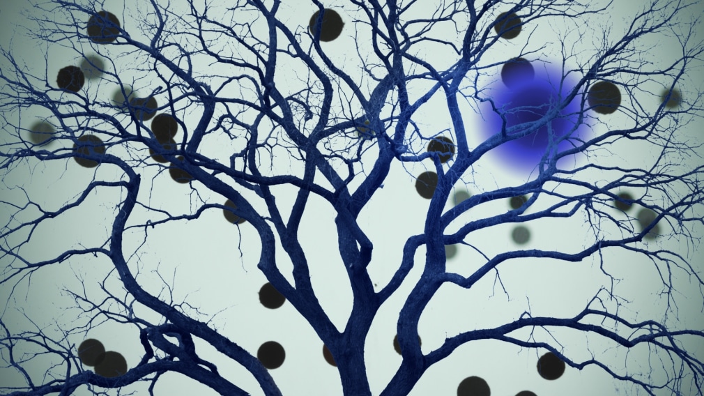 Ofri Cnaani&nbsp;, Seven Words #1, 2013