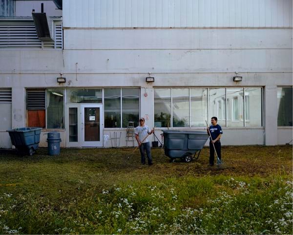 Dawn of the Learning Lab (We Shit Where We Eat II), 2010