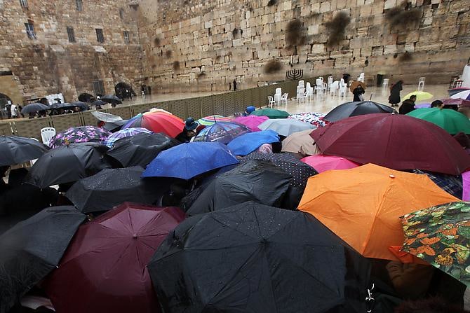 Western Wall, 2010