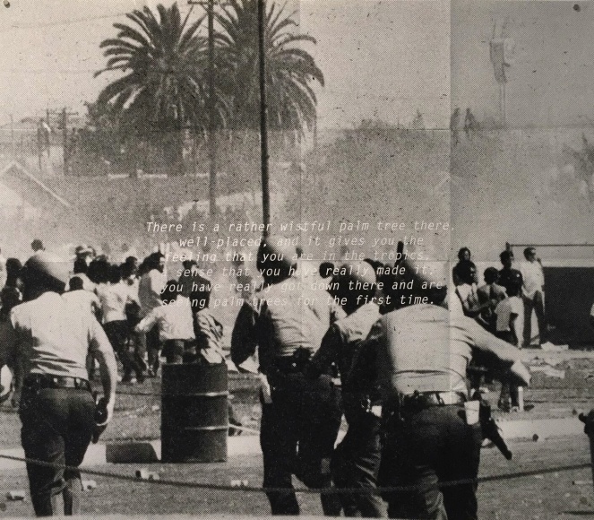 ANTHONY ROMERO &amp;amp; JOSH RIOS, There is a rather wistful palm tree, 2015