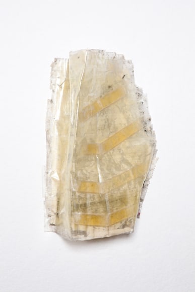 LILY HERN-FONDATION, Ribs (2), 2012