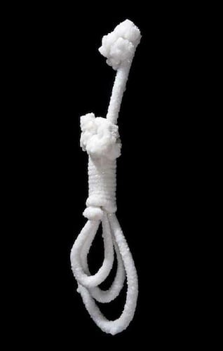 Salt Noose, 2013