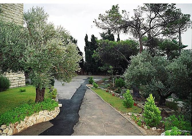 Garden (Haifa), 2004