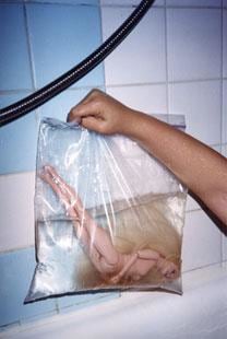Barbie in Plastic, 2002