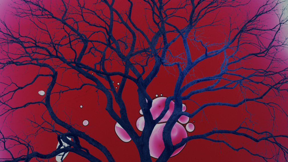 Ofri Cnaani, Seven Words 5, 2013